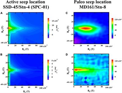 Diagenesis of Magnetic Minerals in Active/Relict Methane Seep: Constraints From Rock Magnetism and Mineralogical Records From Bay of Bengal